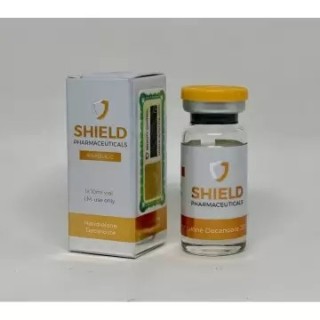 NANDROLONE DECA SHIELD PHARMA